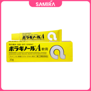 Kem Bôi Trĩ Chữ A Boragnol A Ointment 20g